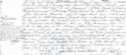 N-Gautier Alcide .jpg